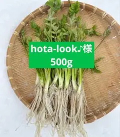 専用ページです＾＾