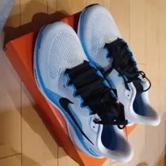 Item thumbnail for item 061f20c7-6f83-4770-8ecc-31c000d5a414