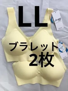 【限定価格】LLサイズ×2枚　スロギー　ゼロフィール ブラレット