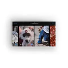 Item thumbnail for item 9e6ef808-b2d9-4608-9900-0c1db99ed6a8