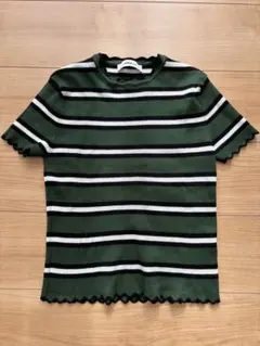 ZARA 半袖ニット ストライプ 緑