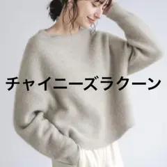 ラクーン ニット