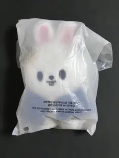 StrayKids ぬいぐるみ 10cm リービット magic school