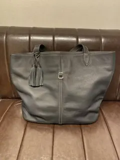 Item thumbnail for item df031593-e3fe-4028-af71-968e907eaa1f