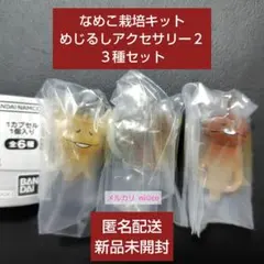 なめこ栽培キット めじるしアクセサリー２ ◆ ３種セット 即購入可