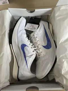 Item thumbnail for item 1d422578-5a35-430b-983e-f6be2fad020b