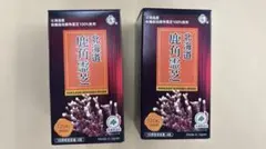 2026年最新】鹿角霊芝の人気アイテム - メルカリ