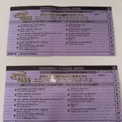 ユニバーサル・エクスプレス・パス 2025年用 2枚 ユニバーサル・エクスプレス・パス 2枚 - メルカリ