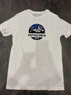 Patagonia オーガニックコットン Tシャツ S