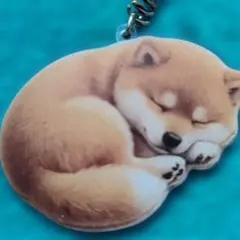 新品未使用で可愛い柴犬のアクリルキーホルダーですのサムネイル