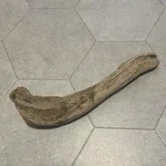 Item thumbnail for item b1ff6d5c-e52c-4203-8ceb-e8f84d18b3cb