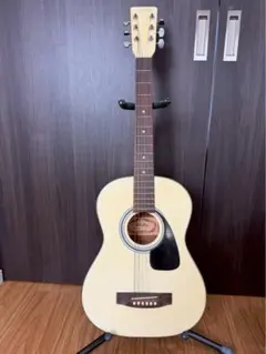 Eris. エリス Aproa アコースティックギター ココナッツミルク - メルカリ