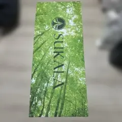 LAVA SUKALAトラベルヨガマット