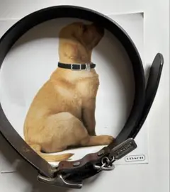 COACH ダークブラウン レザー首輪 箱付き - メルカリ