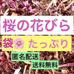 乾燥☘️桜の散った花びら☘️袋たっぷり☘️茶系多め ドライフラワー・ハンドメイド☘️素材