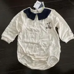 cottoli 80