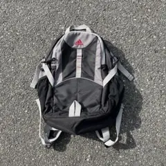 00s adidas archive リュック 在原みゆ紀 cityboy