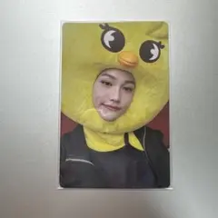 straykids スキズ　maxident フィリックス　JYP 特典　トレカ