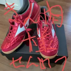 Mizuno Morelia フットサルシューズ レッド