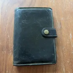 Item thumbnail for item c163ff39-80e4-49ef-8bb1-cc087d330e4f