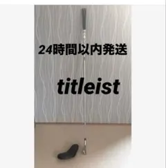 タイトリスト　アイアン　　　titleist ヘッドカバー付き　T100 3番のサムネイル