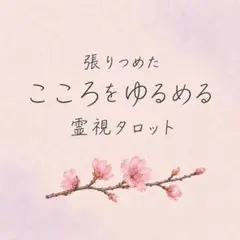 Rakutao公式アカウント01様専用 - メルカリ
