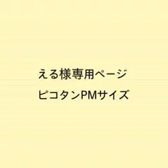 える様専用ページピコタンPMサイズバッグインバッグ