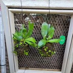 はなはなはなこ様 リクエスト 4点 まとめ商品