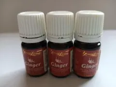 中古Young Living エッセンシャルオイル 7本セット 未開封】Young Living エッセンシャルオイル 7本セット - メルカリ