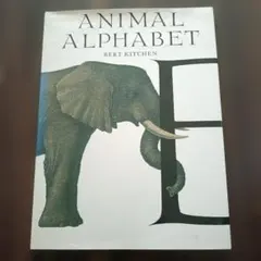 ANIMAL ALPHABET - BERT KITCHEN