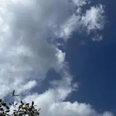 Item thumbnail for item bb188c96-5d6e-458b-a70d-003aa28d42b9