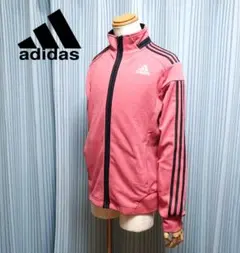 Item thumbnail for item 53872590-4c64-4022-b675-b4204ebd3725