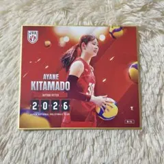 バレーボール女子日本代表2026 トレーディングmini色紙 北窓絢音