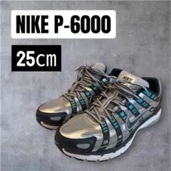 NIKE P-6000 スニーカー 25cm