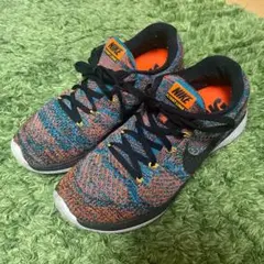 ［値下げ］ナイキ フライニット ルナ 3