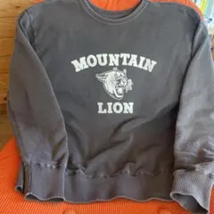 ジャーナルスタンダードレサージュ