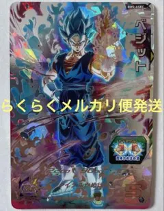 BM5-ASEC ベジット