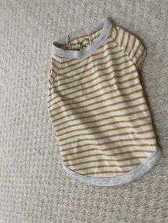 ストライプ犬服 半袖