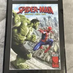 Happyくじ ハッピーくじ スパイダーマン G賞 ポスター ④