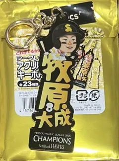福岡ソフトバンクホークス 正木智也 シークレットアクリルネーム