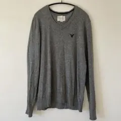 アメリカンイーグル　ニットセーター　刺繍　M グレー春先