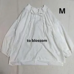 Item thumbnail for item e963129c-1ad9-4df0-9303-52456bbcf36c