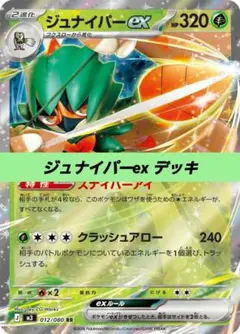 ポケモンカード 構築 済み デッキ ジュナイパーex 14のサムネイル