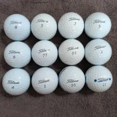 k*p様 タイトリスト Pro V1x 2023年 白 ABロゴなしロストボール - メルカリ