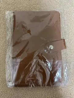 Item thumbnail for item 31652c91-3d1f-472d-84cb-261b42a278d4