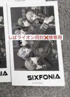 （しばライオン同封❌様専用）シクフォニ　チェキ風カード第3弾（集合）