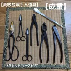 成重 高級、盆栽道具セット 2026年最新】盆栽道具セットの人気アイテム - メルカリ