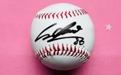 2026年最新】ロッテ サインボールの人気アイテム - メルカリ