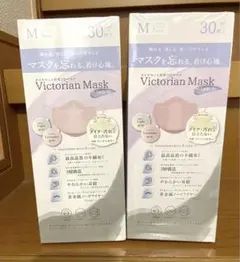 Victorian Mask ラベンダーグレーライトグレーMサイズ 30枚×2個のサムネイル