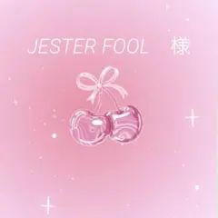 JESTER FOOL様　専用出品⋈ ⁺